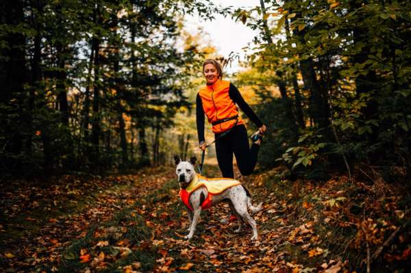 La veste Lumenglow High-Vis améliore la visibilité de votre chien dans des conditions diurnes et de faible luminosité.