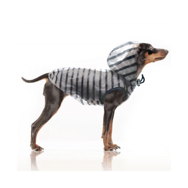 Imperméable à capuche / sans manches pour chien Matière waterproof transparente avec rayures marines imprimées