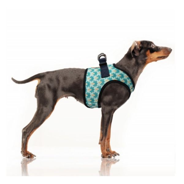 Harnais veste en Néoprène créé spécialement pour les petits chiens et les chiens moyens, imprimé exclusif « motif palmier »