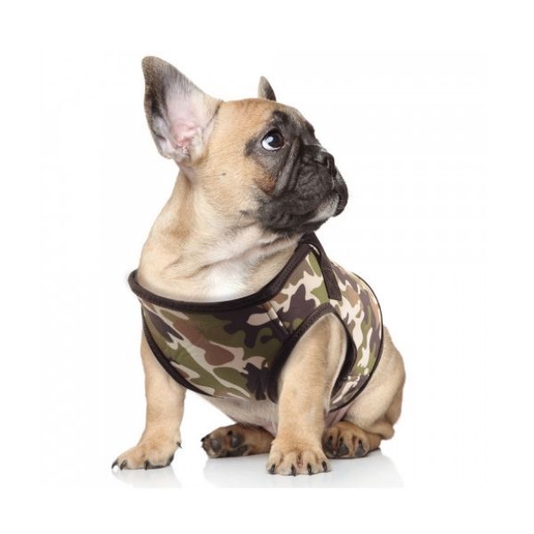 Harnais veste en Néoprène imprimé esprit camouflage pour chien