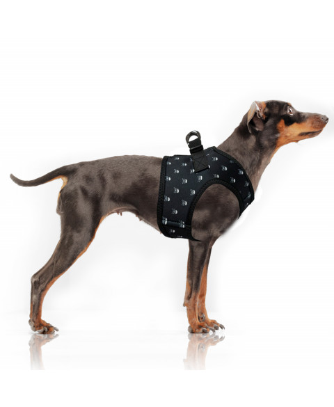 Harnais veste en Néoprène créé spécialement pour les petits chiens et les chiens moyens, imprimé exclusif « têtes de mort »