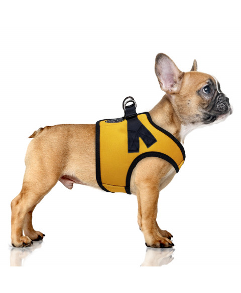 Harnais veste en Néoprène créé spécialement pour les petits chiens et les chiens moyens