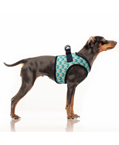 Harnais veste en Néoprène créé spécialement pour les petits chiens et les chiens moyens de race Bouledogue, imprimé exclusif « palmiers stylisés »