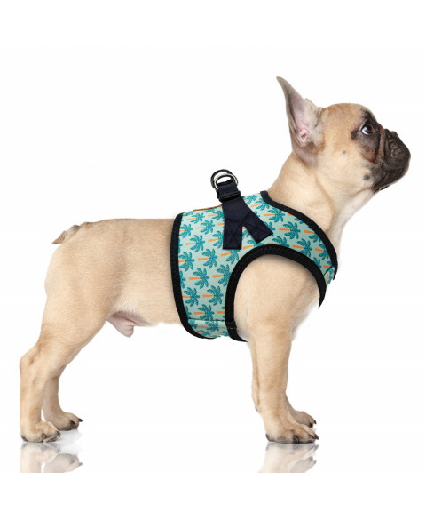 Harnais veste en Néoprène créé spécialement pour les petits chiens et les chiens moyens de race Bouledogue, imprimé exclusif « palmiers stylisés »