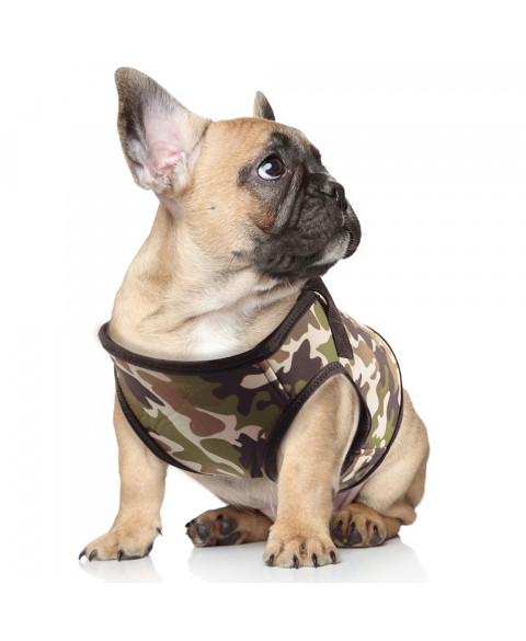 Harnais veste en Néoprène imprimé esprit camouflage pour chien