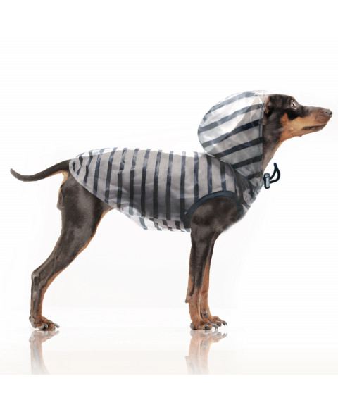 Imperméable à capuche / sans manches pour chien Matière waterproof transparente avec rayures marines imprimées