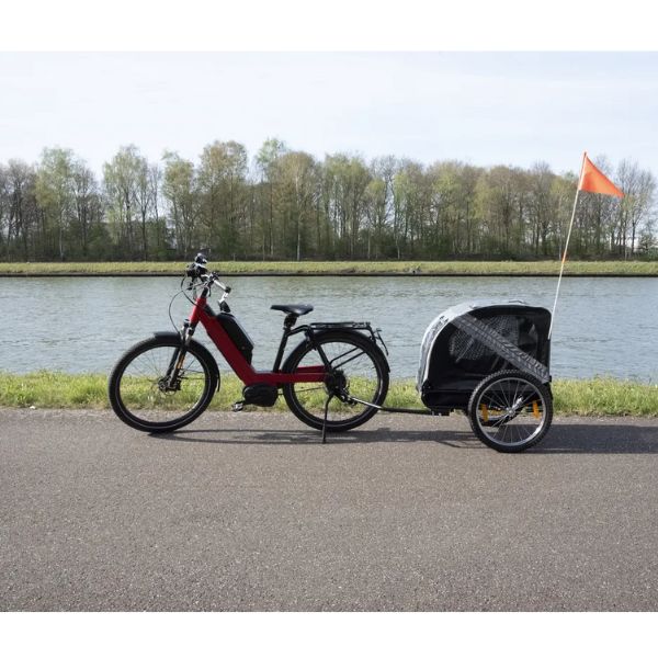 Bike trailer for dogs remorque vélo chien