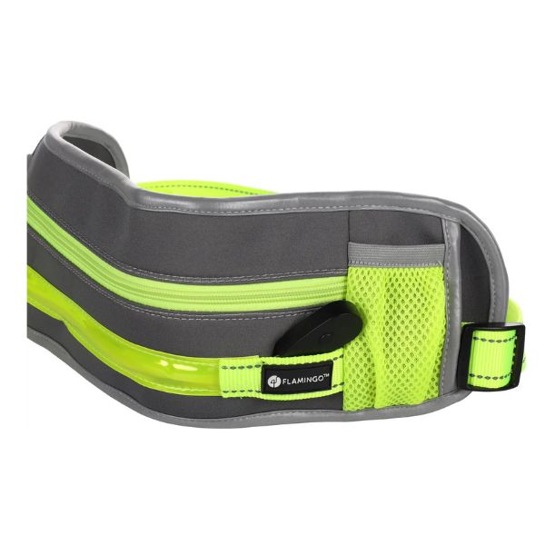 Running belt with lead for canicross and jogging with dogs