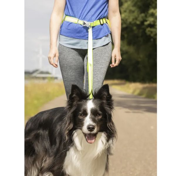Ceinture course à pieds et footing avec son chien avec laisse intégré