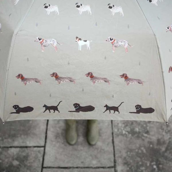 @sophieallport raining cats and dogs umbrella